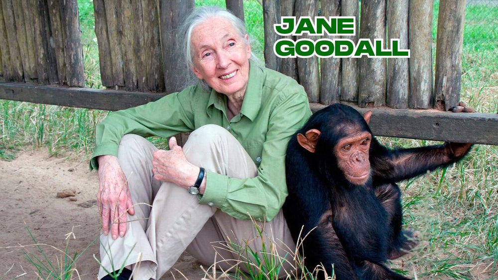 Jane Goodall and the importance of her life's work.
