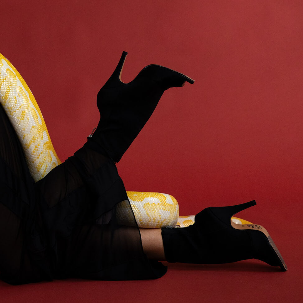Shabina - Black Lycra - Suede Sole - Dance Floor Only